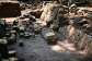 Ancient ruins in Veracruz had signs of Mayan culture but also never before seen pre-Hispanic characteristics. -  Marco Antonio Martinez, AFP