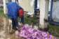TMA, Police probe death of unidentified man found at assembly premises
