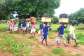 Private SHSs in Free SHSpilot programme demand payment of outstanding government arrears