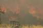 Spain sweltered through its hottest summer on record last year, contributing to destructive wildfires across several regions -  MIGUEL RIOPA, AFP