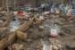 Floods left only one chicken alive – Dawhenya poultry farmer cries out for help