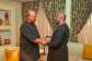 Pause assent to Tribunals Bill and engage stakeholders — Bawumia tells Mahama