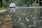 GMetforecasts moderate rainfall over the weekend