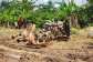 ‘We will invoke our unforgiving gods to deal with you’ – Atronie chiefs warn galamseyers after failed interventions