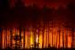 AU expresses solidarity with Spain, France over deadly wildfires