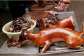 ICS heads to Supreme Court to ban dog and cat slaughter, consumption in Ghana