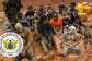 NAIMOS arrests 19 in Mpohor Fiase anti-galamsey operation