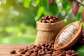 Cocobod releases GH¢2.6 billion to LBCs to settle cocoa farmers
