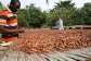 COCOBOD Releases GH¢2.6bn to LBCs to Clear Outstanding Payments to Cocoa Farmers