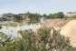 Assemblies accused of taking penalties instead of demolishing illegal buildings on wetlands