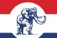NPP regional executive elections underway nationwide