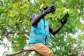 How Nwawasuaresidents climb trees and mountains top in search of good internet connectivity, calls