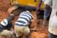 Seven dead, four trapped after galamsey pit collapses at Asaman Tamfoe