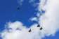 A file image of F-35 jets in Oslo, Norway, on September 9, 2026. -  Claudia Greco, Reuters