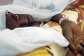 Yellow fever confirmed in Sissala East after 21 mysterious deaths