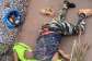 V/R: One dead, two injured as grader knocks down pedestrians at Dzodze
