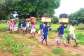Private SHSs have vacancies for all 54,985 BECE candidates denied placement — GNACOPS