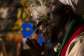 Rastafarians use marijuana as part of their religious meditation.  By Tony KARUMBA (AFP)