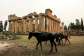 The archaeological site of Cyrene was the target of looting by jihadists when the country descended into chaos following the fall of Muammar Gaddafi in 2011.  By Abdullah DOMA (AFP)