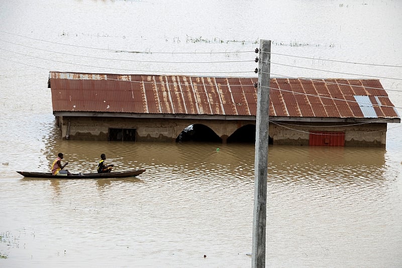 Floods in Nigeria: building dams and planting trees among steps that ...