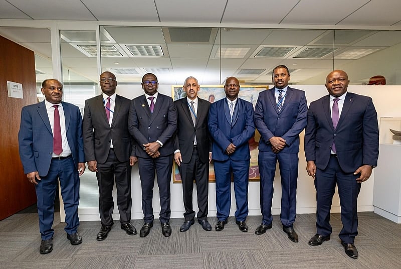 AfDB President pledges deeper cooperation with Ghana and others