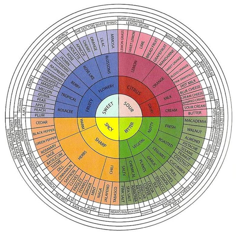 terpenoids-what-are-they