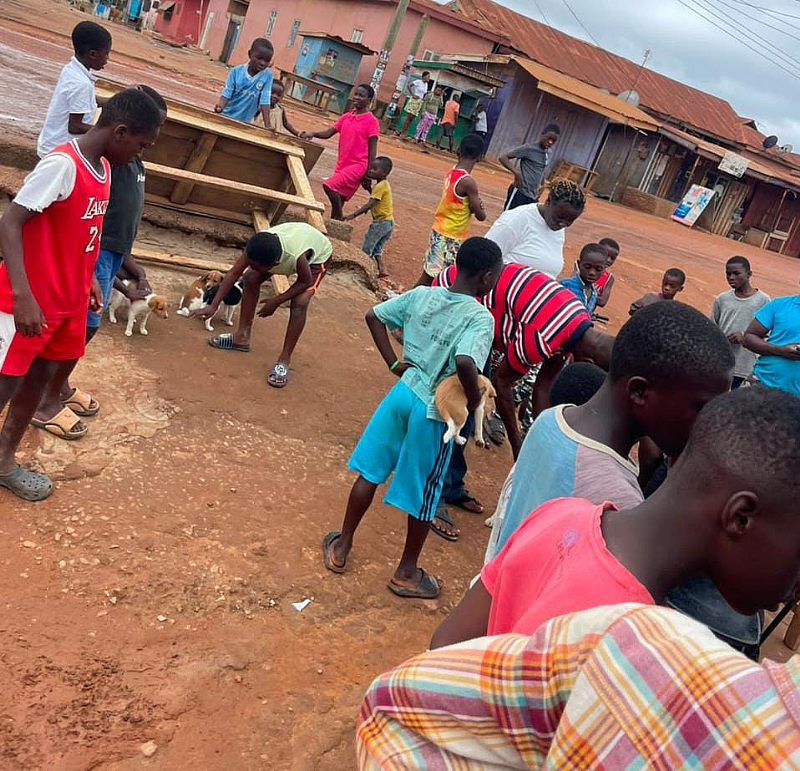 Atwima Nwabiagya North marks World Rabies Day with free anti-rabies ...