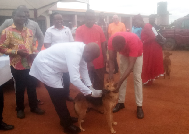 1,200 Dogs Vaccinated For Rabies