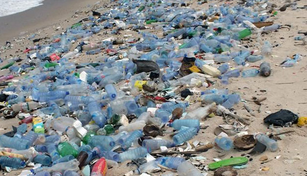 At Last An Action On Plastics