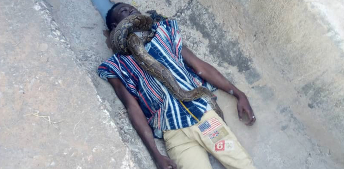 Snake Kills Sakawa Boy