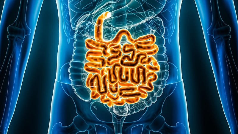 French gut study explores how microbes influence health over time