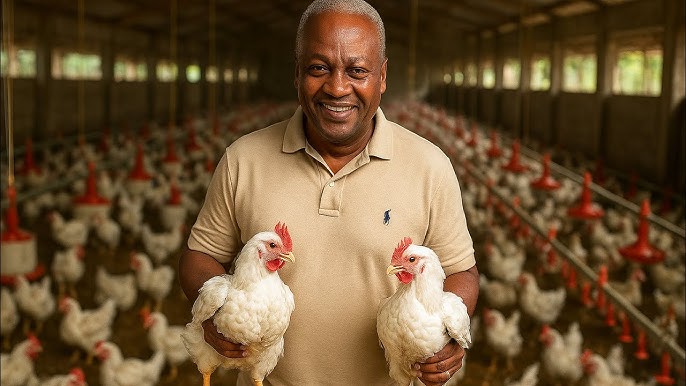 Ghana’s “Chicken for Christmas” Ambition: The Nkoko Nkitinkiti Project Takes Flight