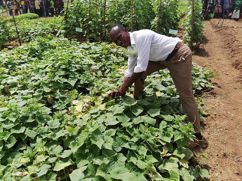 Prioritize 'Agriculture Extension Services' In Ghana