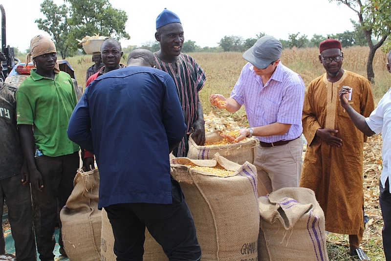 How Nestlé Is Supporting Cereal Farming And Livelihoods In Northern Ghana