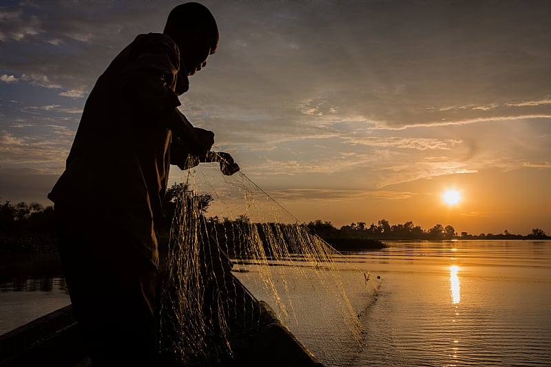 Fish farming is booming in Lake Victoria, but pollution and ...