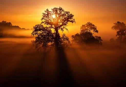 Op-ed: Look beyond numbers at COP30: The future is adaptatio...