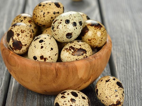 4 Reasons To Try Quail Eggs At Home