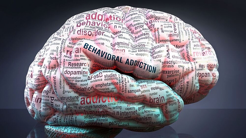 Neuroscience of Addiction: Key Insights We Must Grasp for Overcoming ...