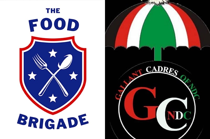 NDC Youth Wing endorses Ghana Food Brigade, hails potential ...