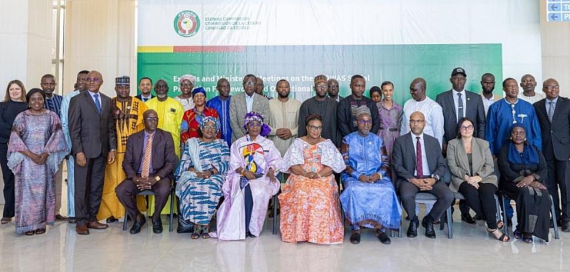 Ministers adopt the ECOWAS social protection framework and its ...