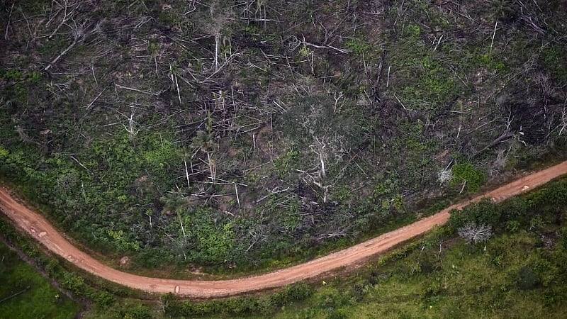 EU parliament delays anti-deforestation law by another year
