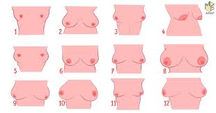 This Is What The Shape Of Your Boobs Really Says About Your