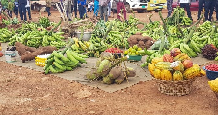 Government declares December 5 public holiday for Farmers’ Day