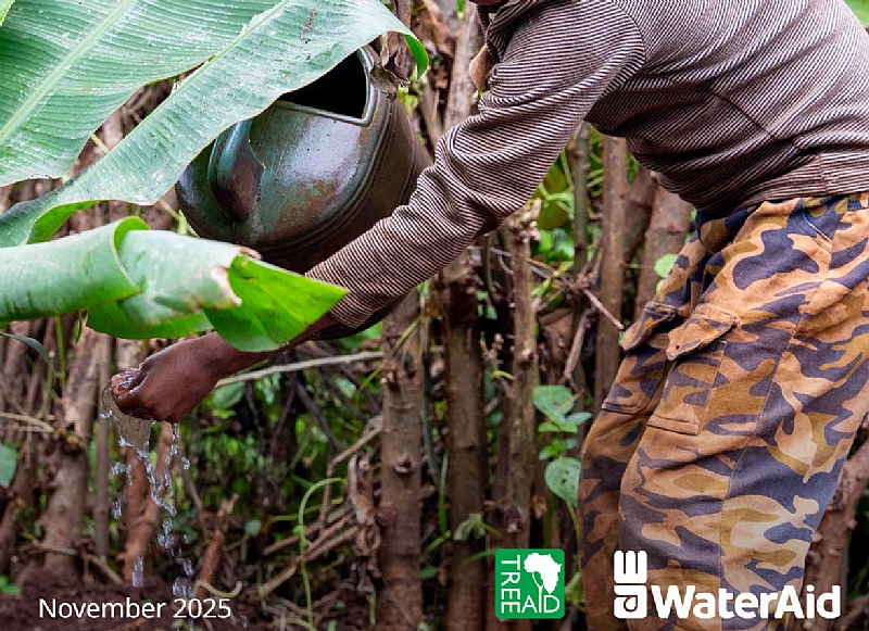 West Africa’s water is draining away as forests the size of cities vanish each year - New WaterAid research