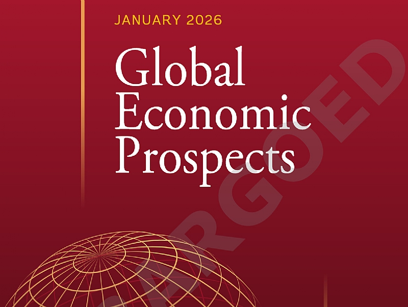 Global Economy Shows Resilience Amid Historic Trade, Policy Uncertainty