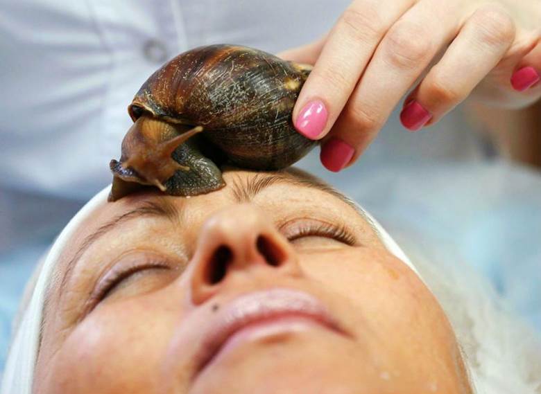 Snail Extract The Novel treatment for Skin Care my Dangme Tribe
