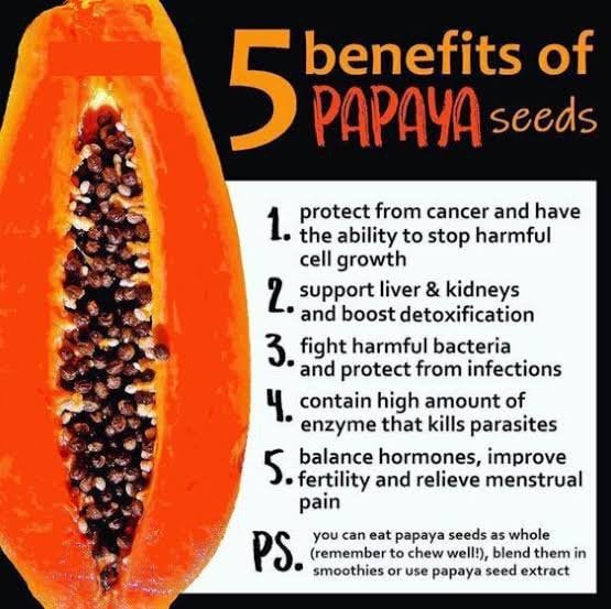 Papaya seeds support kidney health, reduce prostate cancer cells