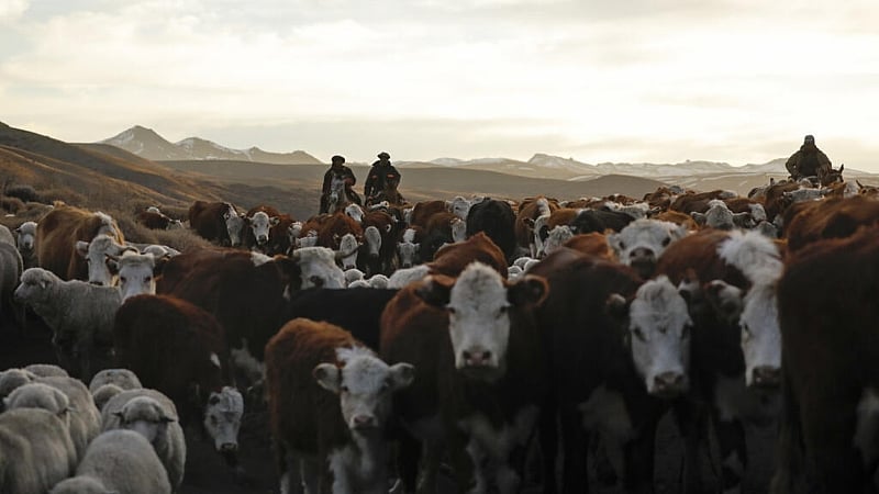 South American Mercosur bloc to ink long-awaited trade deal with EU