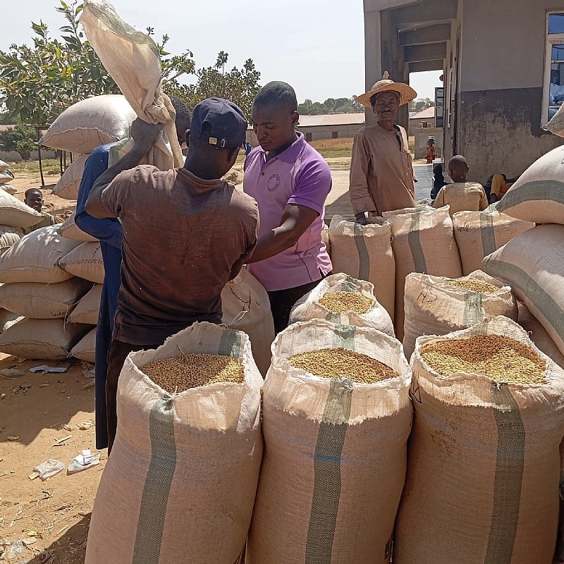Post-Harvest Losses Mount As Afadzato South Farmers Struggle To Find Markets