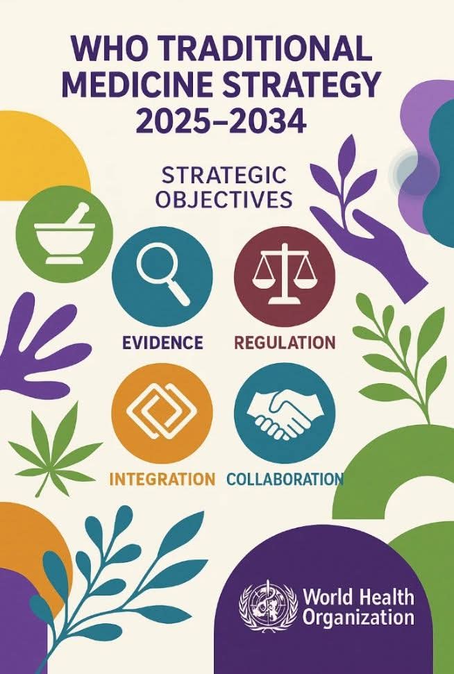 Overview: The WHO Traditional Medicine Strategy 2014–2023